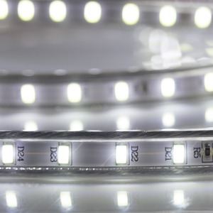 LED лента Neon-Night 142-701 220 В, 6.5x13 мм, IP67, SMD 5730, 60 LED/m, белый, 100 метров