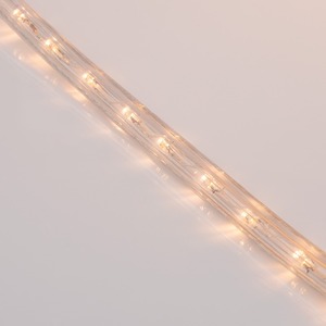 Дюралайт LED , постоянное свечение (2W) Neon-Night 121-128 Розовое золото, 36 LED/м, бухта 100м