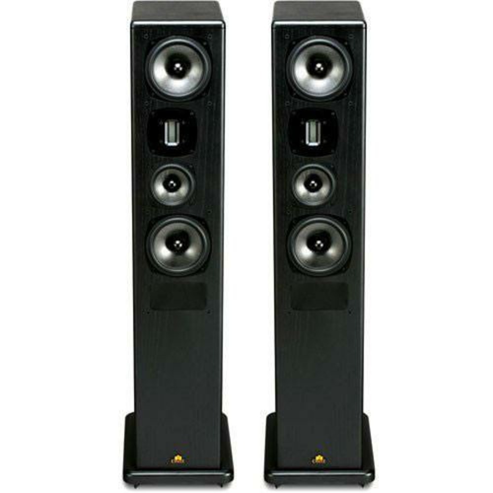 Напольная акустика Castle Acoustics Avon 4 Black Oak