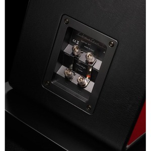 Напольная акустика Sonus Faber Chameleon T Wood