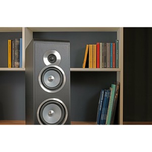 Напольная акустика Sonus Faber Principia 5