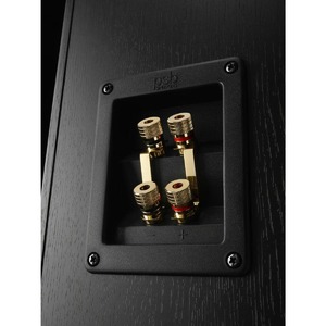 Напольная акустика PSB Imagine X2T Black