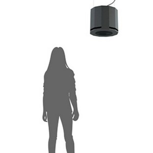 Сабвуфер подвесной CVGaudio SUBone model D-6/BL