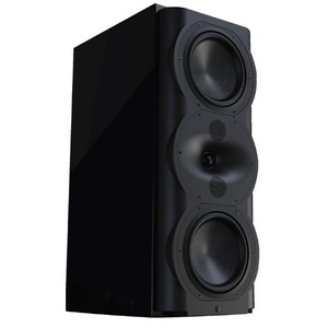 Полочная акустика Perlisten Audio R5m Black HG