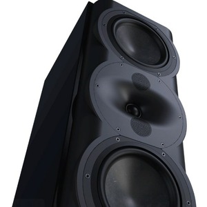 Полочная акустика Perlisten Audio R5m Black HG