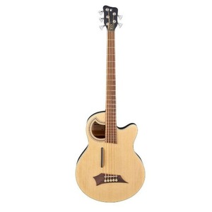 Акустическая бас-гитара Warwick ROCKBASS ALIEN STD 5 NTS