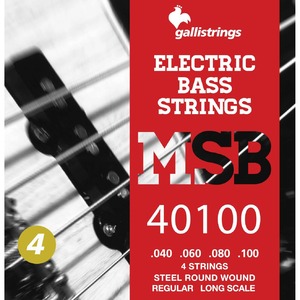 Струны для бас-гитары Galli Strings MSB40100