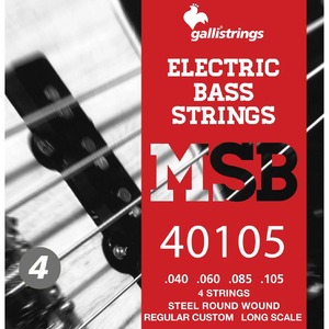 Струны для бас-гитары Galli Strings MSB40105