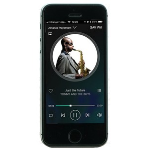 Интегральный усилитель/Сетевой плеер Advance Acoustic Playstream A5 с модулем WTX Microstream