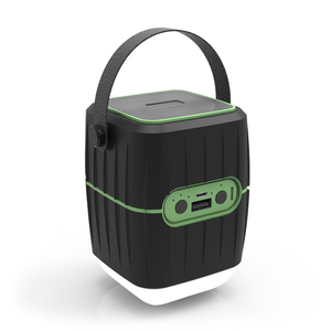 Повер Банк Ritmix RPB-8800LT Black Green