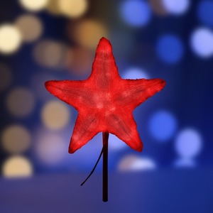 Акриловая светодиодная фигура Neon-Night 513-456 Звезда 80 см, 210 светодиодов, красная