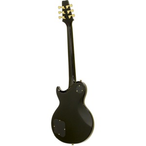 Электрогитара Les Paul ARIA PE-350CST AGBK