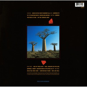 Пластинка LP Pink Floyd / Delicate Sound Of Thunder