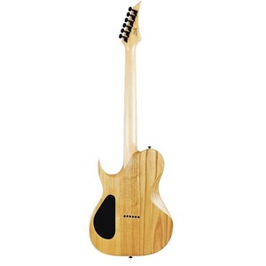 Электрогитара Solar Guitars T2.6N