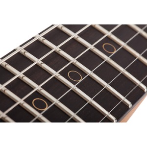 Электрогитара SCHECTER NICK JOHNSTON TRAD ASNW