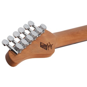 Электрогитара SCHECTER NICK JOHNSTON DS TRAD A.FROST