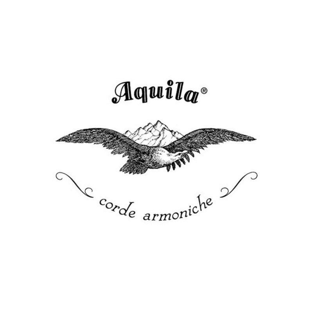 Струны для классической гитары AQUILA SETA 65C