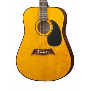 Акустическая гитара Niagara ACS-41NA