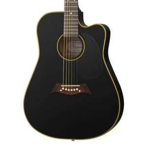 Акустическая гитара Niagara ACS-C41BK