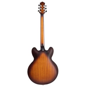 Гитара полуакустическая EART E-335 Brown Sunburst