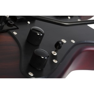 Электрогитара SCHECTER SUN VALLEY SUPER SHREDDER EXOTIC ZIRICOTE