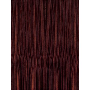 Полочная акустика Audio Physic STEP 25 Macassar Ebony