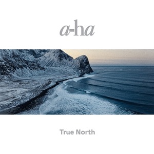 Пластинка LP A-Ha / True North