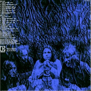 Пластинка LP The Doors / 13