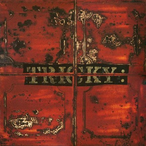 Пластинка LP Tricky / Maxinquaye