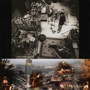 Пластинка LP System Of A Down / Toxisity