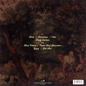 Пластинка LP Lana Del Rey / Born To Die (Paradise Edition)