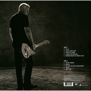 Пластинка LP David Gilmour - Rattle That Lock