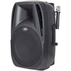 Активная акустическая система PEAVEY PBK 15FM