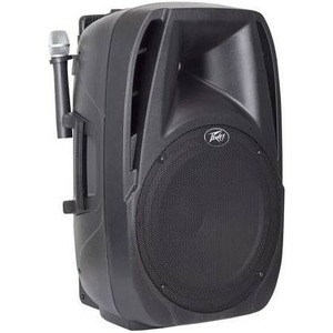 Активная акустическая система PEAVEY PBK 15FM