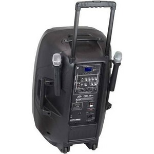 Активная акустическая система PEAVEY PBK 15FM