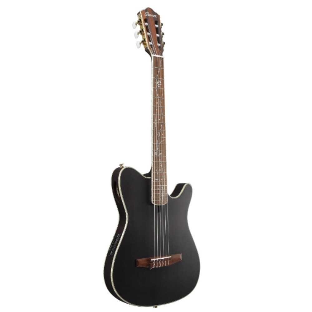 Классическая гитара IBANEZ TOD10N-TKF