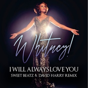Пластинка LP Whitney Houston I Will Always Love You: The Best Of Whitney Houston