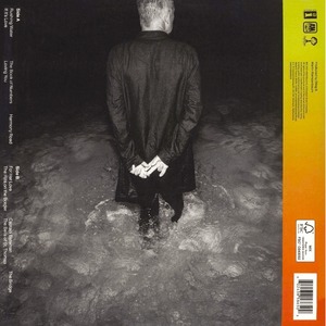 Пластинка LP Sting The Bridge