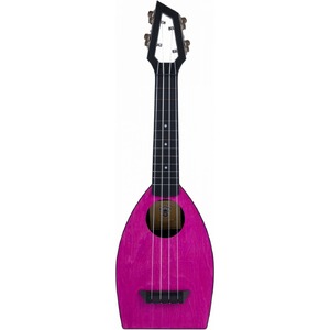 Укулеле Bumblebee Hive Soprano PU
