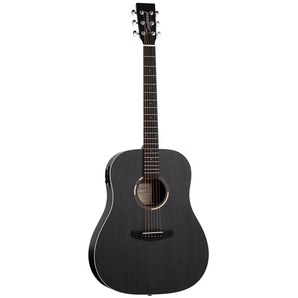 Электроакустическая гитара Tanglewood TWBB SD E