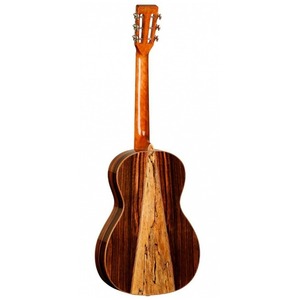 Электроакустическая гитара Tanglewood TWJP E