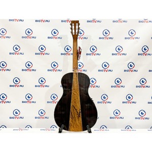 Электроакустическая гитара Tanglewood TWJP E