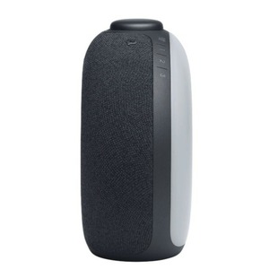 Портативная акустика JBL JBLHORIZON2 BLKEU