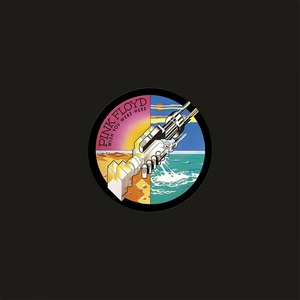 Пластинка LP Pink Floyd / Wish You Were Here
