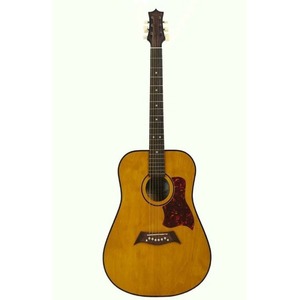 Акустическая гитара Niagara ACS-41NT