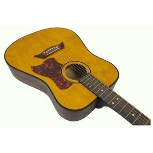 Акустическая гитара Niagara ACS-41NT