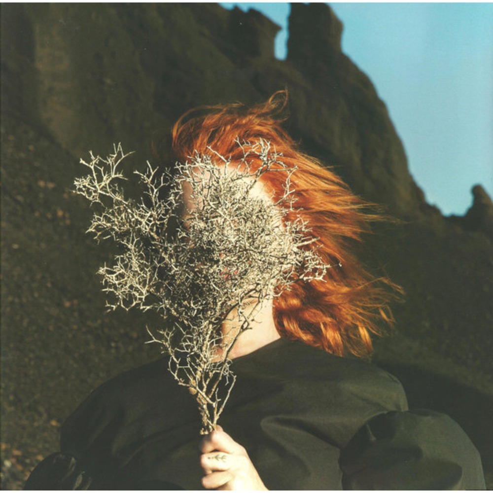 Пластинка LP Goldfrapp / Silver Eye