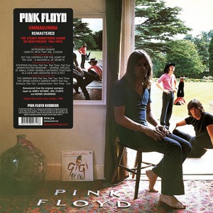 Пластинка LP Pink Floyd / Ummagumma