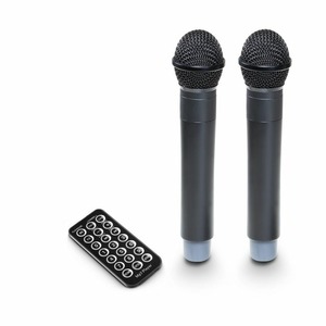 Портативная АС LD Systems ROADBUDDY 10 HHD 2 B6