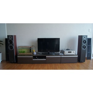 Напольная акустика Dynaudio DM 3/7 Rosewood